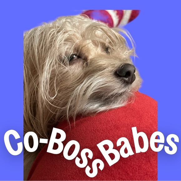 Coach Accessories - Stay Tuned!!